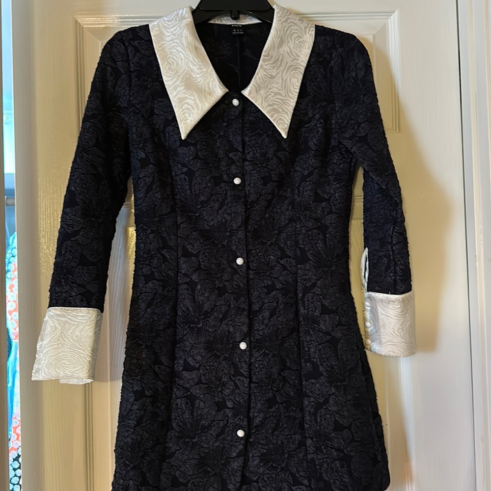 Fitted long sleeve collared dress